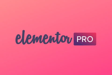 Elementor-Pro