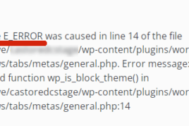 坏 Yoast 插件更新