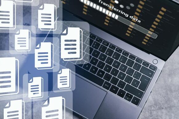 基础信息资料 基础信息资料